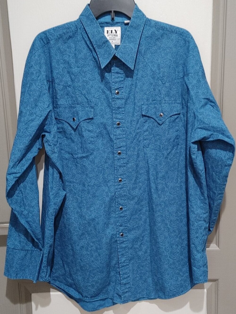 Ely Cattleman Men’s Paisley Western Dress Shirt – XXL – Turquoise, Pearl & Black